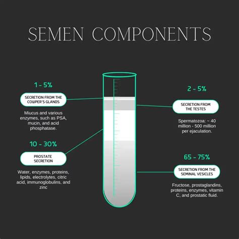 Semen: Fluid, Production, Storage & Composition